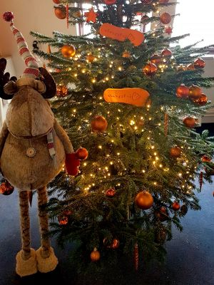 Das Berliner IT Systemhaus DaPhi wünscht eine schöne Adventszeit!