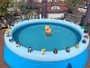 Der Pool auf der Dachterrasse des Berliner IT Systemhaus DaPhi