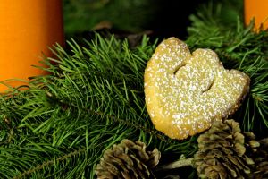 Berlin based IT experts DaPhi would like to wish a Merry Christmas and a Happy New Year!